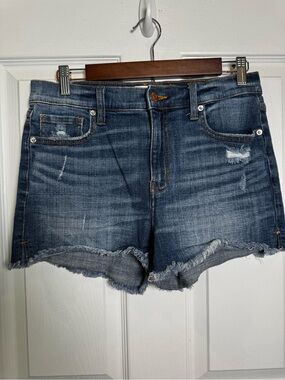 Pistola Wren Distressed Cutoff Denim Shorts Size 28 Jorts